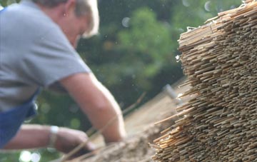 professional Engollan thatchers